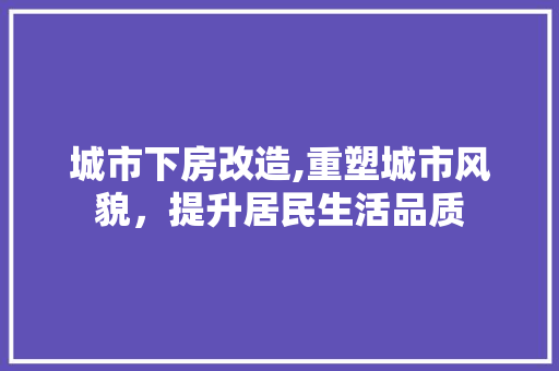 城市下房改造,重塑城市风貌，提升居民生活品质