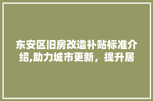 东安区旧房改造补贴标准介绍,助力城市更新，提升居民生活品质