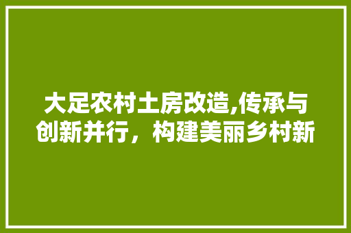 大足农村土房改造,传承与创新并行，构建美丽乡村新篇章