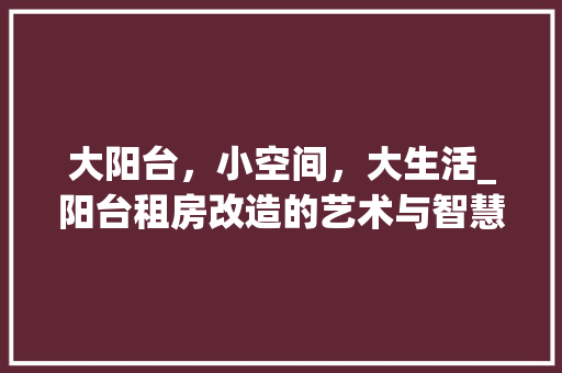 大阳台，小空间，大生活_阳台租房改造的艺术与智慧