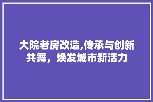 大院老房改造,传承与创新共舞，焕发城市新活力
