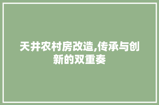 天井农村房改造,传承与创新的双重奏