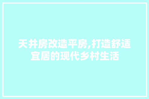 天井房改造平房,打造舒适宜居的现代乡村生活