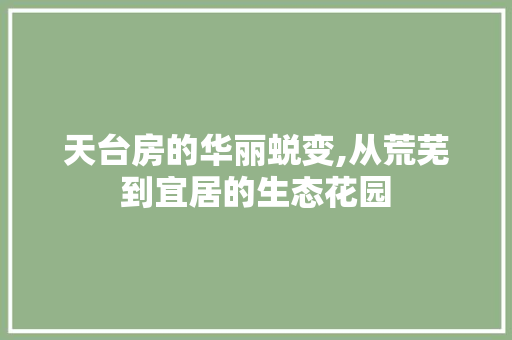天台房的华丽蜕变,从荒芜到宜居的生态花园