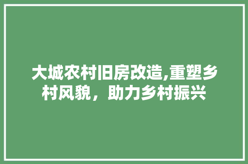 大城农村旧房改造,重塑乡村风貌，助力乡村振兴