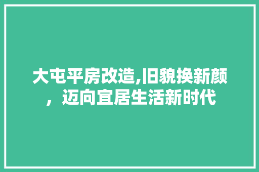 大屯平房改造,旧貌换新颜，迈向宜居生活新时代