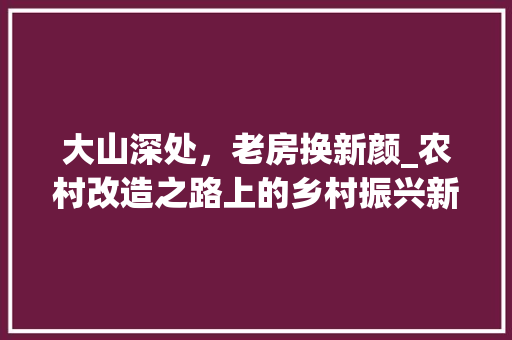 大山深处，老房换新颜_农村改造之路上的乡村振兴新篇章