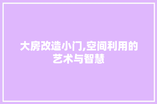 大房改造小门,空间利用的艺术与智慧
