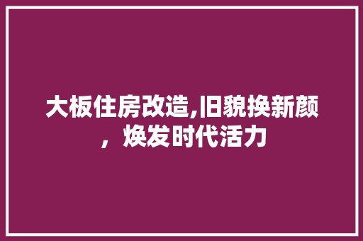 大板住房改造,旧貌换新颜，焕发时代活力
