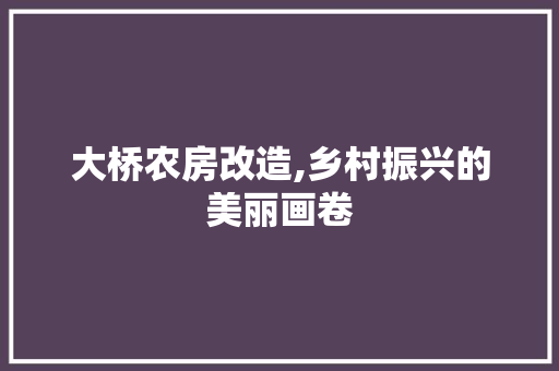 大桥农房改造,乡村振兴的美丽画卷