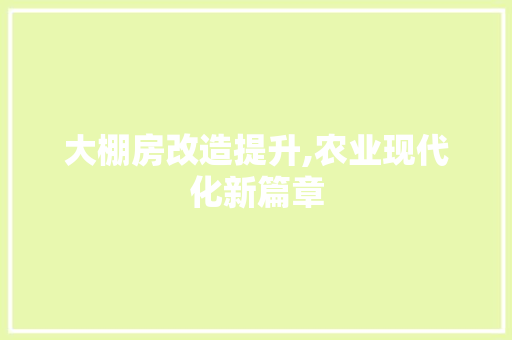 大棚房改造提升,农业现代化新篇章