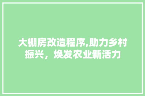 大棚房改造程序,助力乡村振兴，焕发农业新活力
