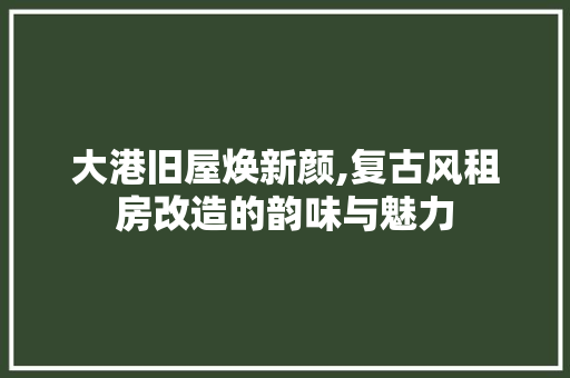 大港旧屋焕新颜,复古风租房改造的韵味与魅力