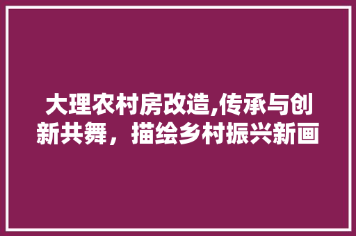 大理农村房改造,传承与创新共舞，描绘乡村振兴新画卷