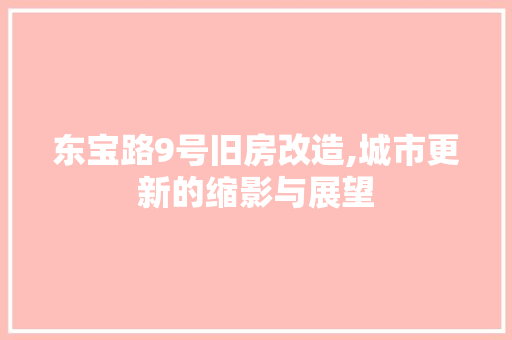 东宝路9号旧房改造,城市更新的缩影与展望