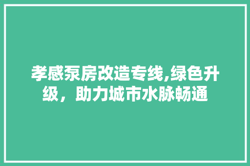 孝感泵房改造专线,绿色升级，助力城市水脉畅通