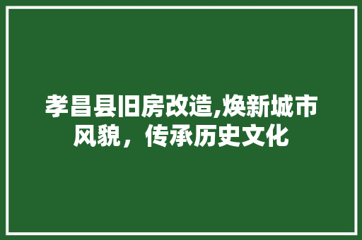 孝昌县旧房改造,焕新城市风貌，传承历史文化