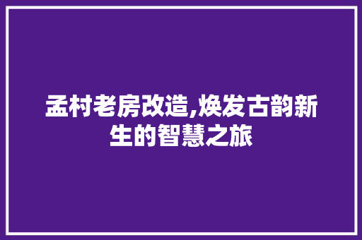 孟村老房改造,焕发古韵新生的智慧之旅