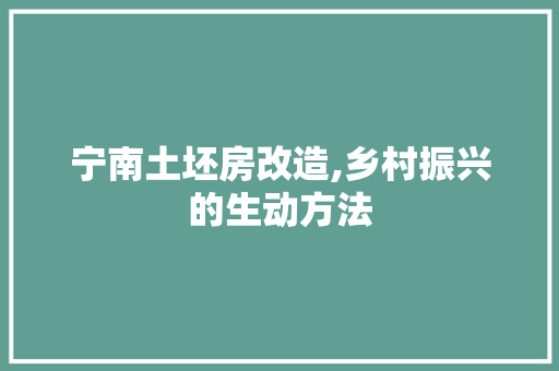 宁南土坯房改造,乡村振兴的生动方法