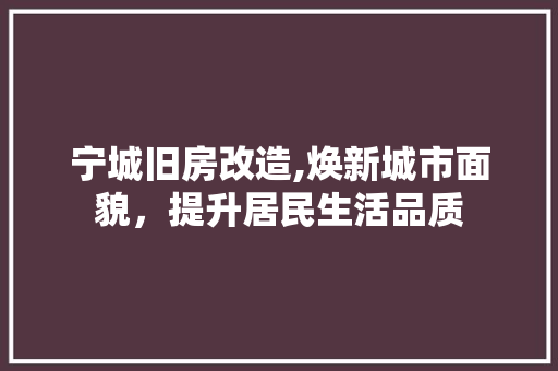 宁城旧房改造,焕新城市面貌，提升居民生活品质