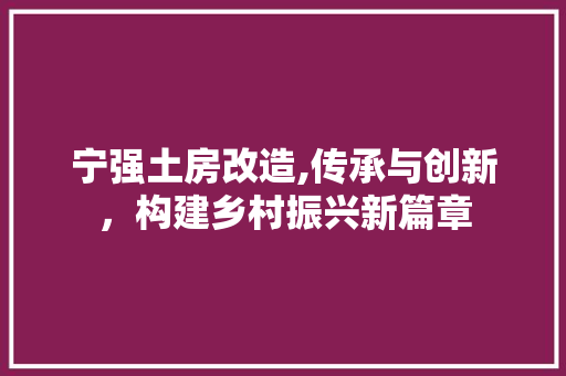 宁强土房改造,传承与创新，构建乡村振兴新篇章