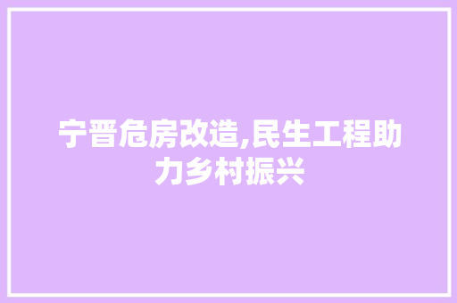 宁晋危房改造,民生工程助力乡村振兴