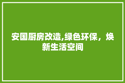 安国厨房改造,绿色环保，焕新生活空间