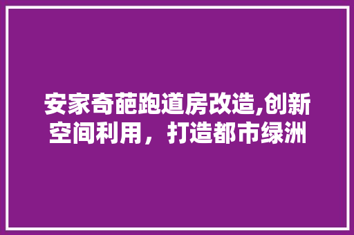 安家奇葩跑道房改造,创新空间利用，打造都市绿洲
