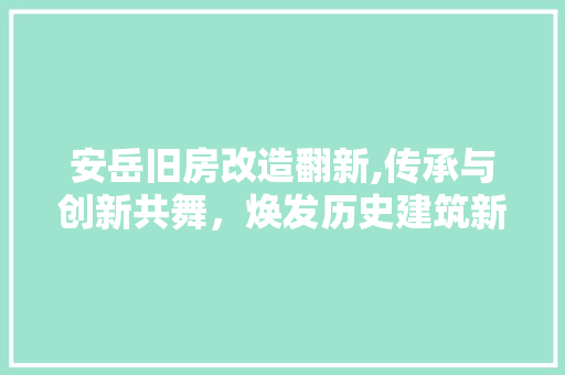 安岳旧房改造翻新,传承与创新共舞，焕发历史建筑新活力