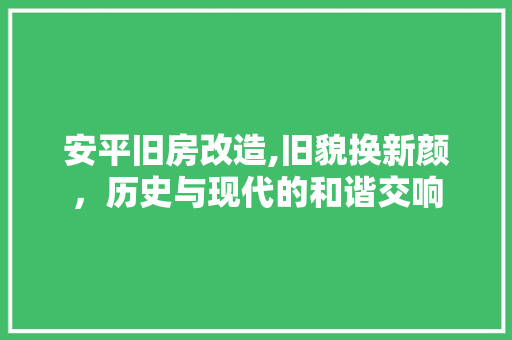 安平旧房改造,旧貌换新颜，历史与现代的和谐交响