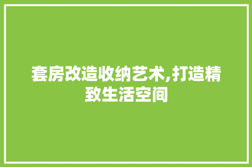套房改造收纳艺术,打造精致生活空间