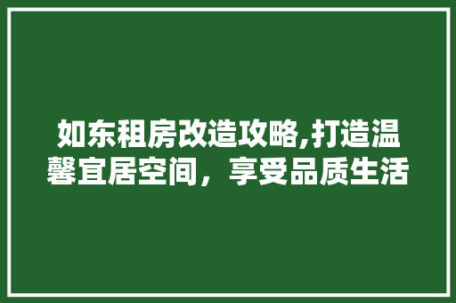 如东租房改造攻略,打造温馨宜居空间，享受品质生活新篇章