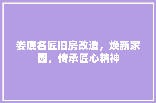 娄底名匠旧房改造，焕新家园，传承匠心精神