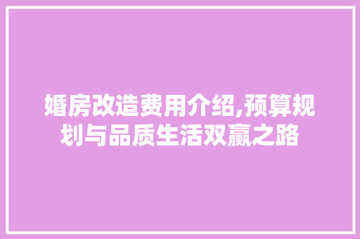 婚房改造费用介绍,预算规划与品质生活双赢之路