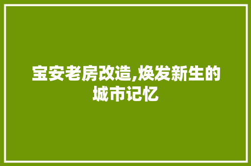 宝安老房改造,焕发新生的城市记忆