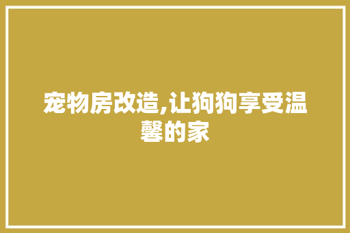 宠物房改造,让狗狗享受温馨的家