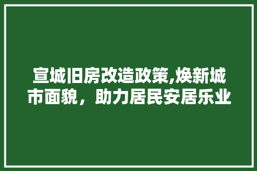 宣城旧房改造政策,焕新城市面貌，助力居民安居乐业
