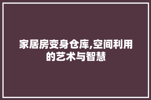 家居房变身仓库,空间利用的艺术与智慧