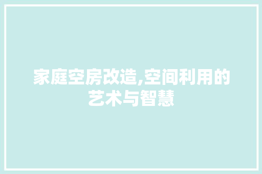 家庭空房改造,空间利用的艺术与智慧