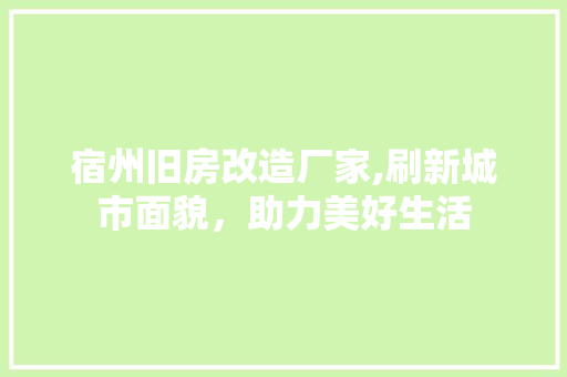 宿州旧房改造厂家,刷新城市面貌，助力美好生活
