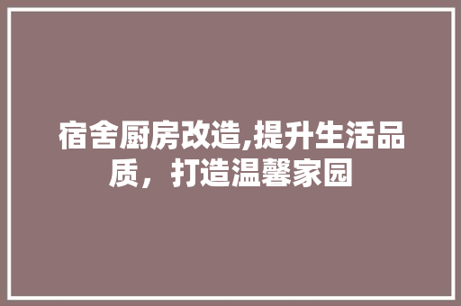 宿舍厨房改造,提升生活品质，打造温馨家园