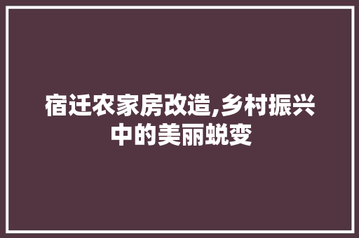 宿迁农家房改造,乡村振兴中的美丽蜕变