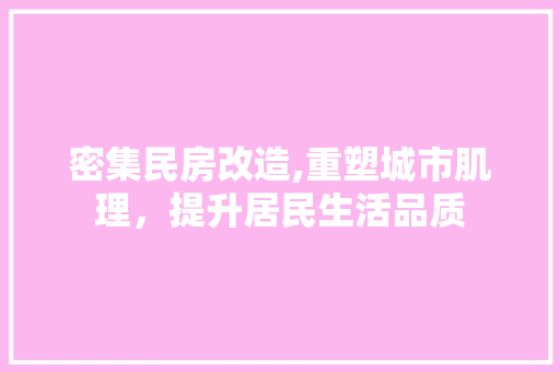 密集民房改造,重塑城市肌理，提升居民生活品质
