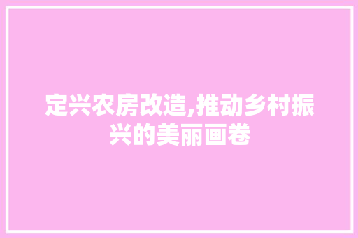 定兴农房改造,推动乡村振兴的美丽画卷