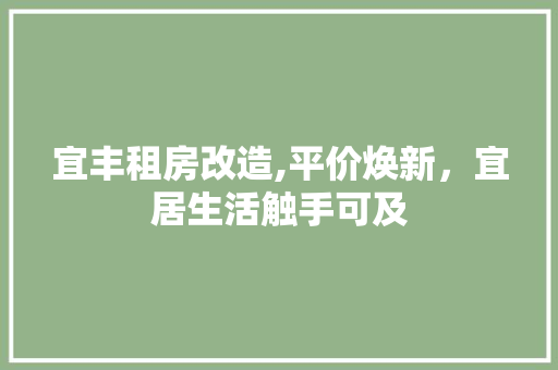 宜丰租房改造,平价焕新，宜居生活触手可及