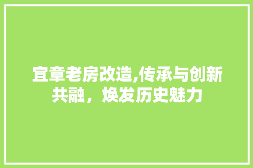 宜章老房改造,传承与创新共融，焕发历史魅力