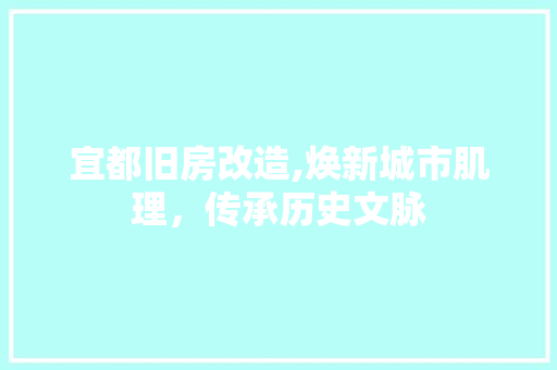 宜都旧房改造,焕新城市肌理，传承历史文脉