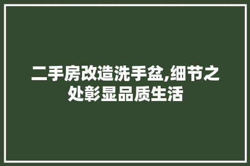 二手房改造洗手盆,细节之处彰显品质生活