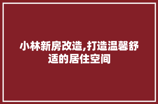 小林新房改造,打造温馨舒适的居住空间