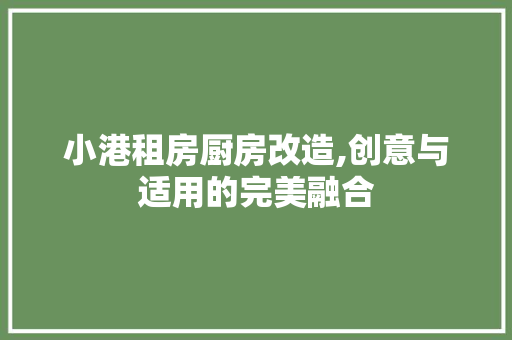 小港租房厨房改造,创意与适用的完美融合